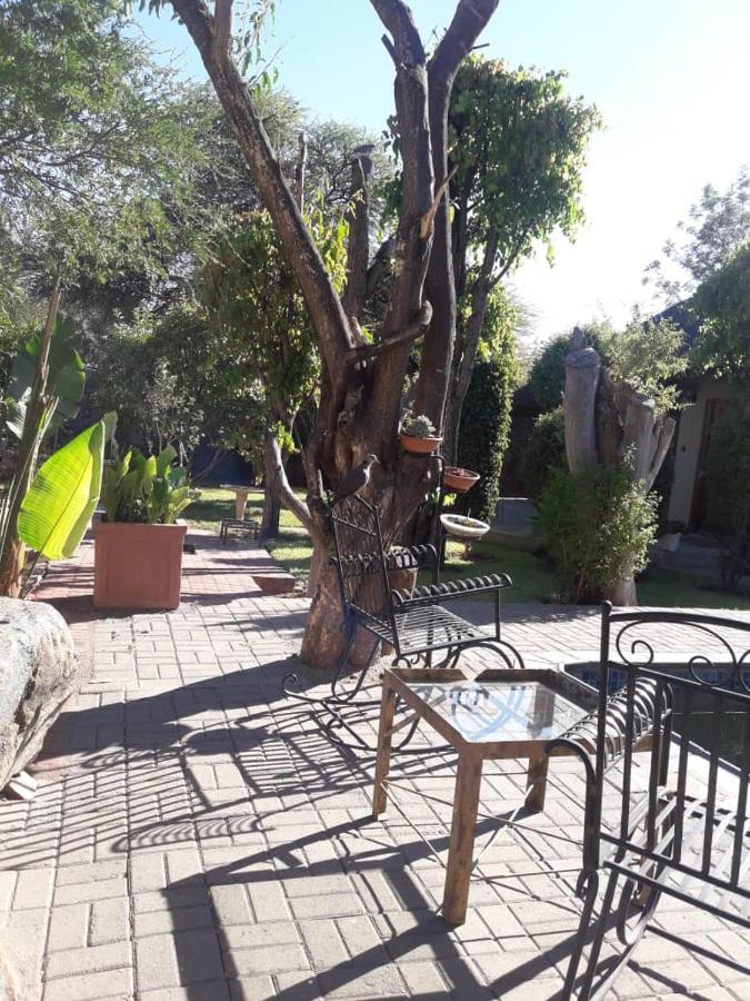 A New Earth Guest Lodge Francistown Zewnętrze zdjęcie